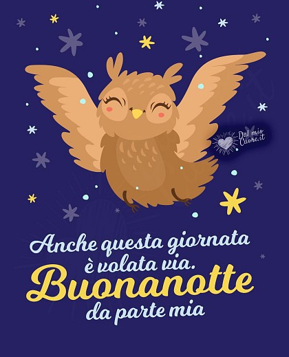 Un buffo gufo appollaiato su un ramo che vola via sotto le stelle con la battuta Anche questa giornata è volata via. Buonanotte da parte mia.