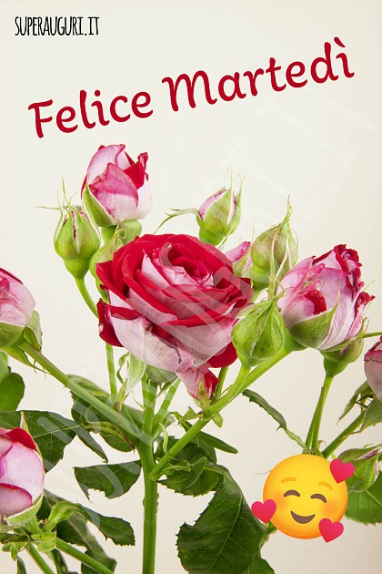 Felice Martedì