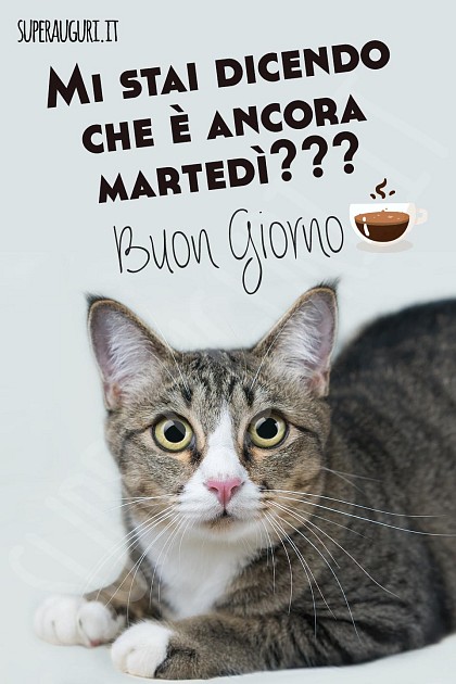 Mi stai dicendo che è ancora martedì??? Buon Giorno