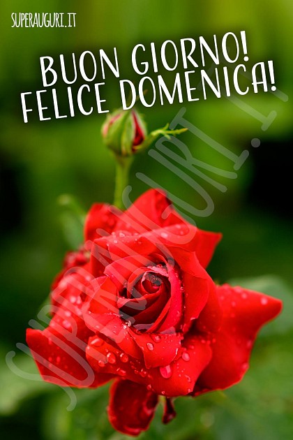 Buon giorno! Felice Domenica!