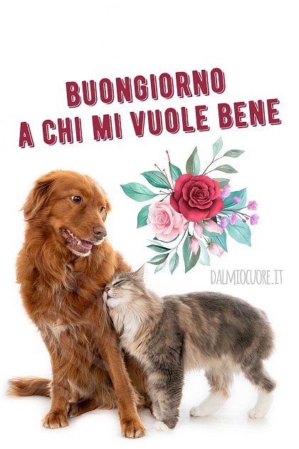 Buongiorno a chi mi vuole bene