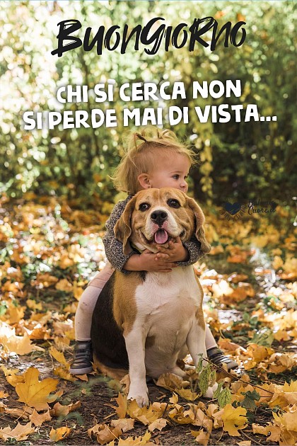 Chi si cerca non si perde mai di vista...