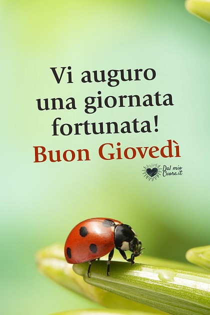 Vi auguro una giornata fortunata! Buon giovedì