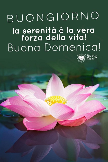 La serenità è la vera forza della vita!