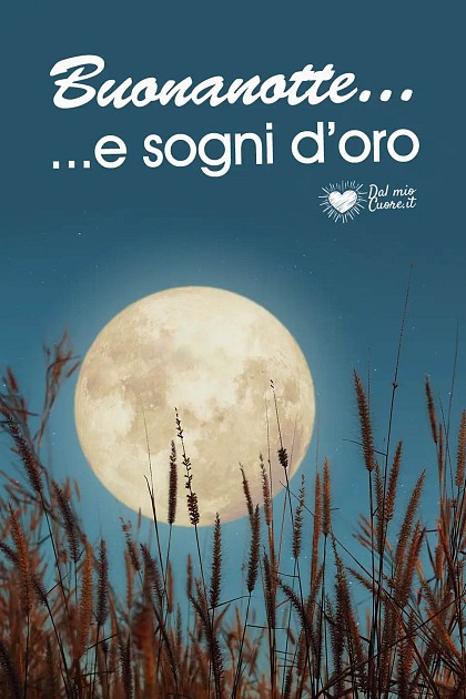 Buonanotte... e sogni d'oro!