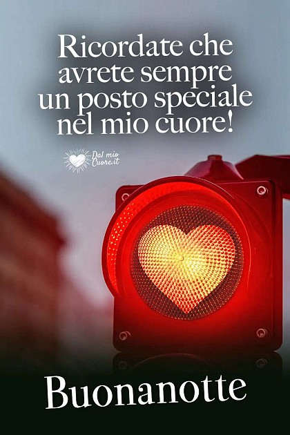 Ricordate che avrete sempre un posto speciale nel mio cuore! Buonanotte