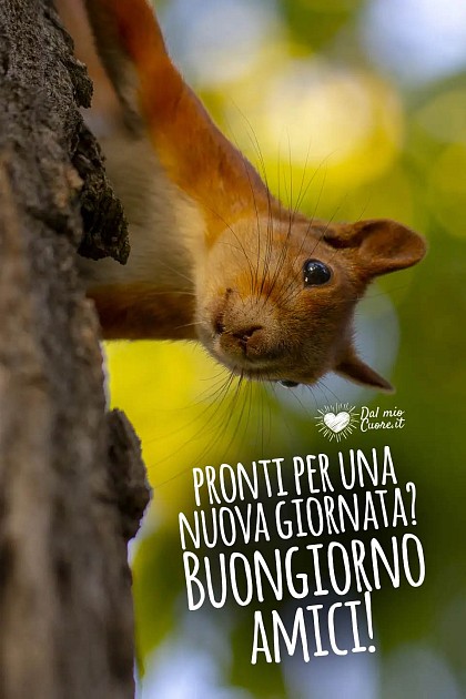 Pronti per una nuova giornata? Buongiorno amici!