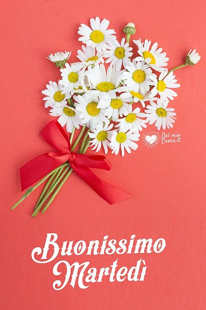 Buonissimo Martedì
