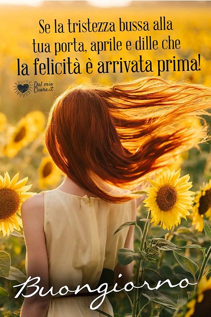 Splendidi fiori colorati in piena fioritura con luce radiosa e la frase Se la tristezza bussa alla tua porta, aprile e dille che la felicità è arrivata prima!