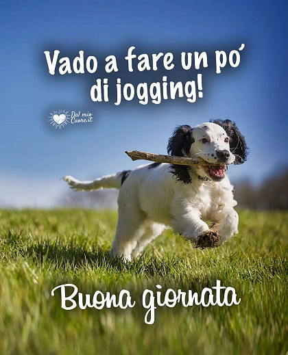 Vado a fare un po' di jogging! Buona giornata