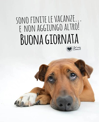 Sono finite le vacanze... e non aggiungo altro!