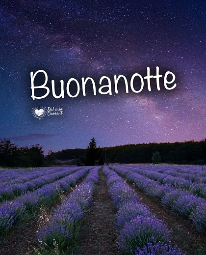 Buonanotte