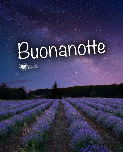 Buonanotte