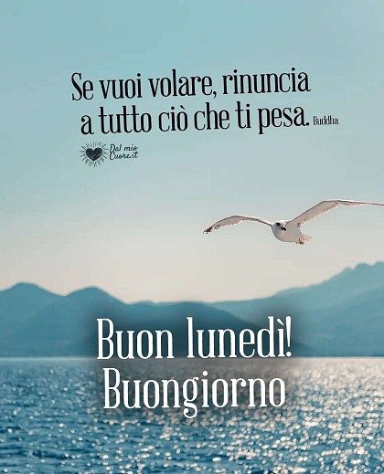 Se vuoi volare, rinuncia a tutto ciò che ti pesa. Buon lunedì! Buongiorno