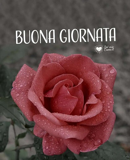 Buona giornata (di pioggia)