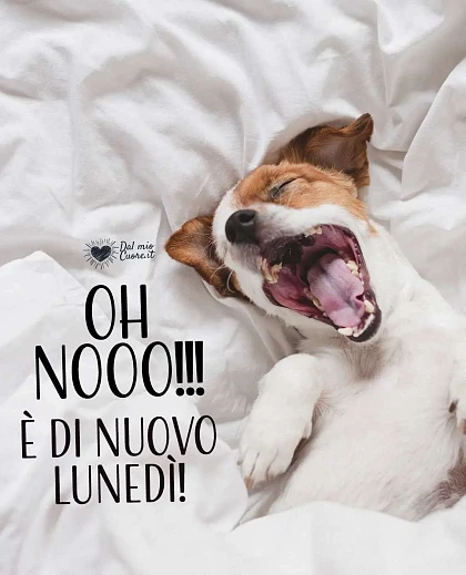 Oh nooo! È di nuovo lunedì!