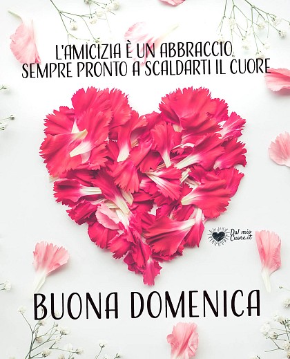 L'amicizia è un abbraccio sempre pronto a scaldarti il cuore. Buona domenica