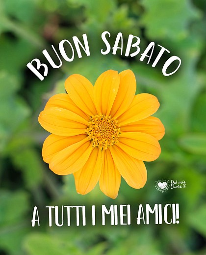 Buon sabato... a tutti i miei amici!