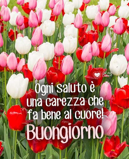 Composizione floreale delicata con petali pastello, dettagli luminosi e la frase Ogni saluto è una carezza che fa bene al cuore! Buongiorno.