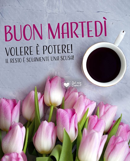 Buon martedì! Volere è potere! il resto è solamente una scusa!