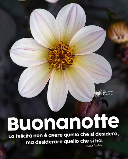 La felicità non è avere quello che si desidera, ma desiderare quello che si ha