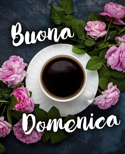 Buona Domenica