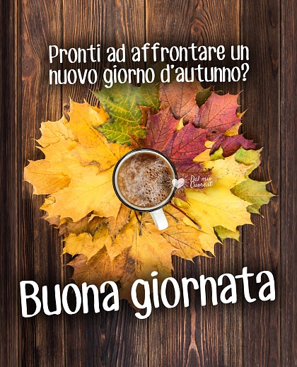 Pronti ad affrontare un nuovo giorno d’autunno? Buona Giornata