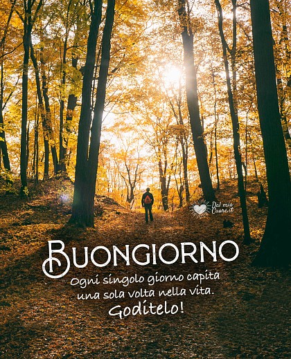Ogni singolo giorno capita una sola volta nella vita. Goditelo! Buongiorno