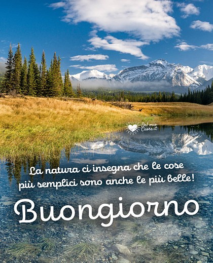 La natura ci insegna che le cose più semplici sono anche le più belle. Buongiorno