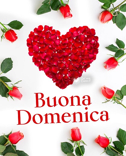 Buona Domenica con un cuore di petali
