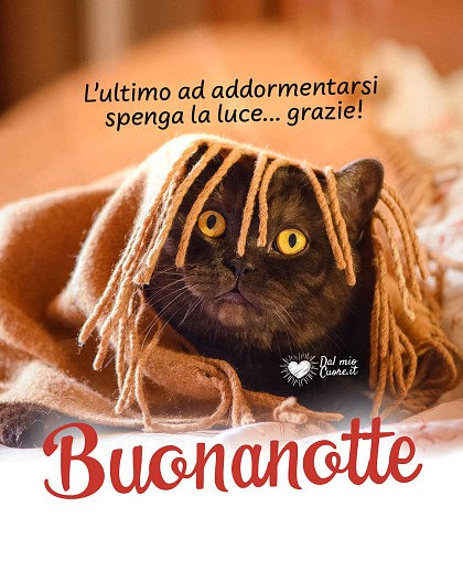 Buonanotte. L'ultimo ad addormentarsi spenga la luce... grazie!