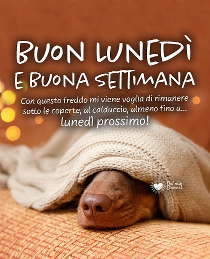 Con questo freddo mi viene voglia di rimanere sotto le coperte, al calduccio, almeno fino a...  lunedì prossimo! Buon lunedi e buona settimana