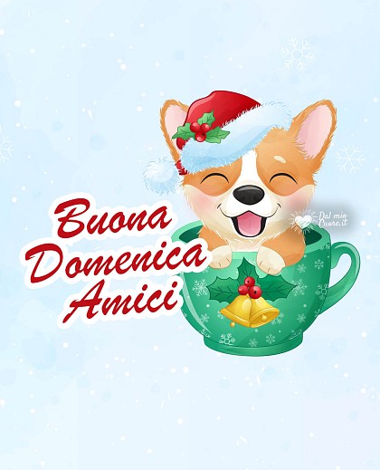 Buona domenica natalizia con cagnolino