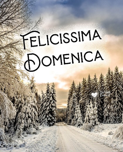 Felicissima domenica con paesaggio invernale