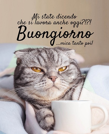 Mi state dicendo che si lavora anche oggi?!?! Buongiorno... mica tanto poi!
