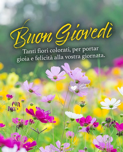 Tanti fiori colorati per portare gioia e felicità alla vostra giornata. Buon giovedì