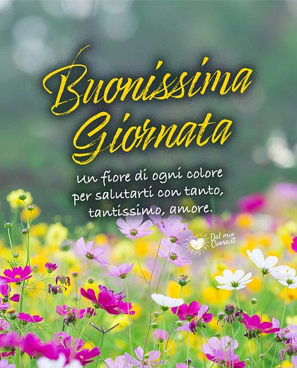 Un fiore di ogni colore per salutarti con tanto, tantissimo, amore. Buonissima Giornata