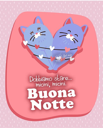 Dobbiamo stare... micini, micini. Buona Notte