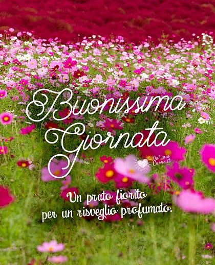 Un prato fiorito per un risveglio profumato. Buonissima giornata