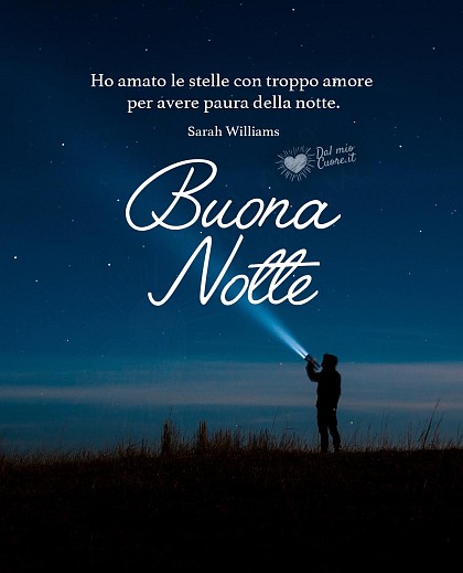 Ho amato le stelle con troppo amore per avere paura della notte. Buona Notte