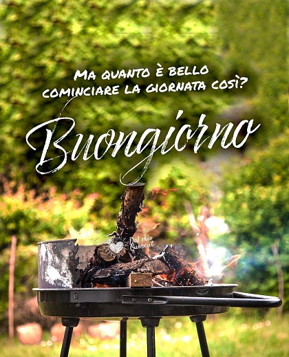 Ma quanto è bello cominciare la giornata così? Buongiorno