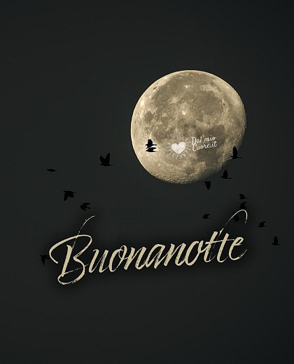 Buonanotte con luna piena