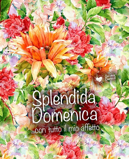 Splendida domenica... con tutto il mio affetto