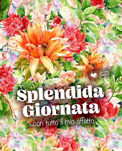Splendida giornata... con tutto il mio affetto