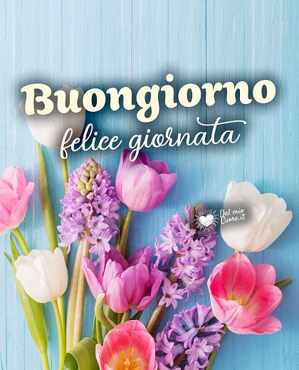 Buongiorno. Felice Giornata