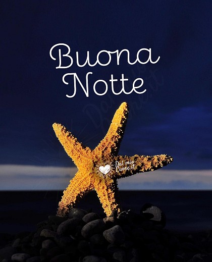 Buona notte con stella marina