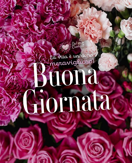 La vita è un dono meraviglioso! Buona Giornata