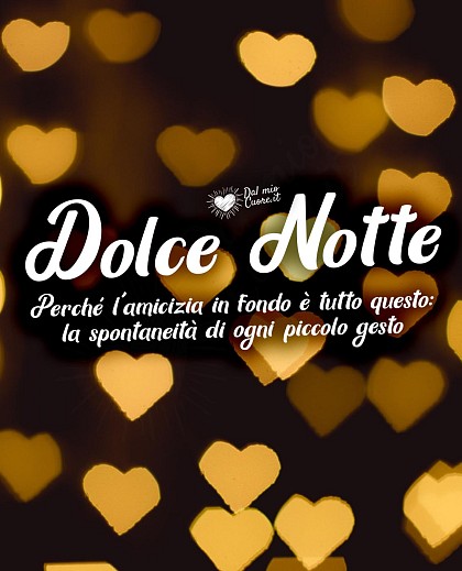 Perché l'amicizia in fondo è tutto questo: la spontaneità di ogni piccolo gesto. Dolce Notte