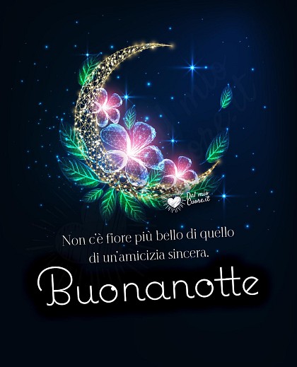 Non c’è fiore più bello di quello di un’amicizia sincera. Buonanotte