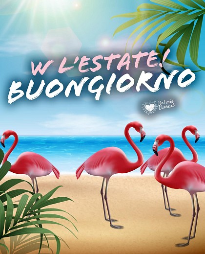 Suggestiva spiaggia dorata con fenicotteri rosa vicino all'acqua turchese e il testo festoso W l'estate! Buongiorno.